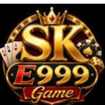 SK-e999