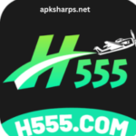 H555 Game